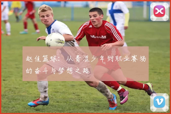 赵佳篮球：从青涩少年到职业赛场的奋斗与梦想之路