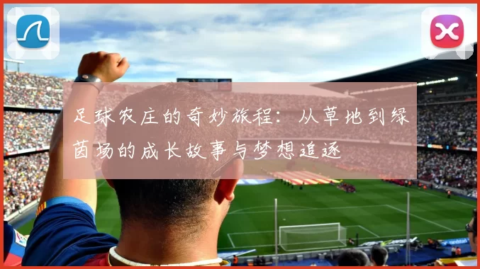 足球农庄的奇妙旅程：从草地到绿茵场的成长故事与梦想追逐