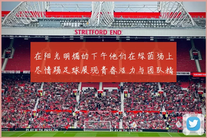 在阳光明媚的下午他们在绿茵场上尽情踢足球展现青春活力与团队精神