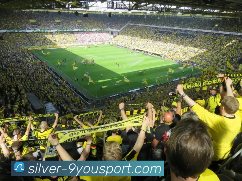 九游体育APP 封面图